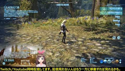 [コメント歓迎]FF14トライアル配信