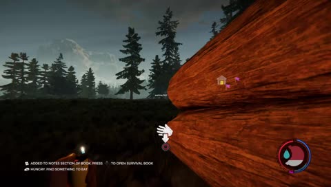 PS4-Live-Übertragung von salizemme