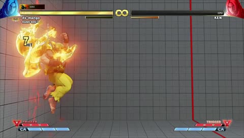 ストV　ケン　シルバー帯