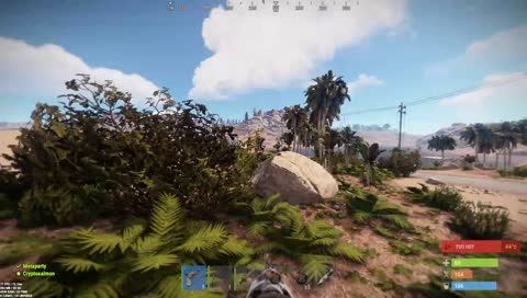 Living the Rust life