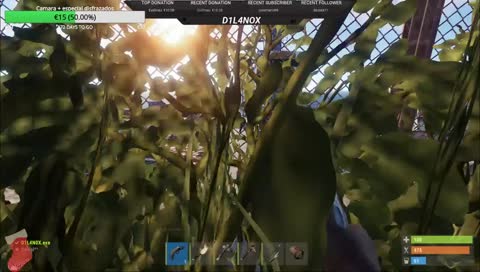 Comenzando wipe -  Pasaros a dar amorcete