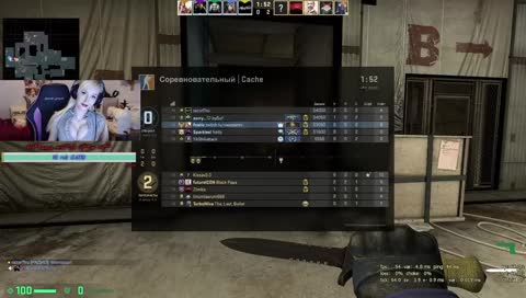 Где мой беркут?
