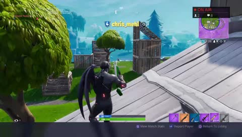 getting destroyed becuz dodo at game

