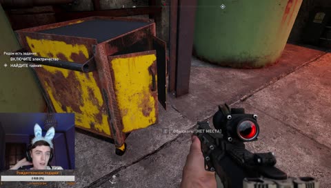 Заяц в Монтане!