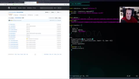 IOTA 101 - Looking at basic tangle interaction using Node.js!