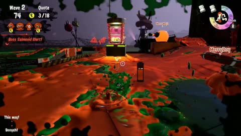salmon run