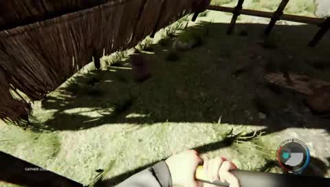 Forest gameplay