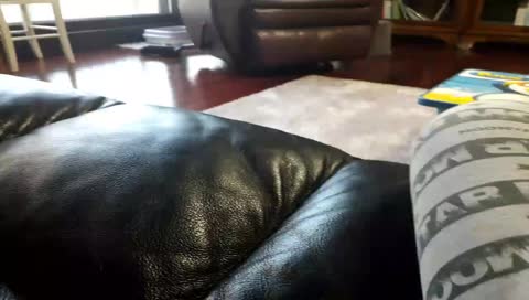 kor_bibimbab님의 모바일 생방송