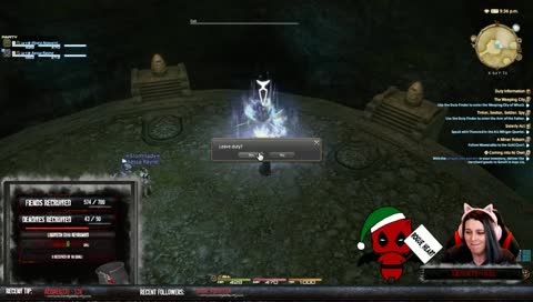 [PC] A wild Catface appears! Dungeons and helping FC mates level! |  !merch !charity #charity !zombits
