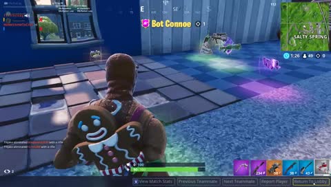 Fortnite with Friends