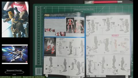 Gunpla! PG Strike Freedom and??? ALL DAY