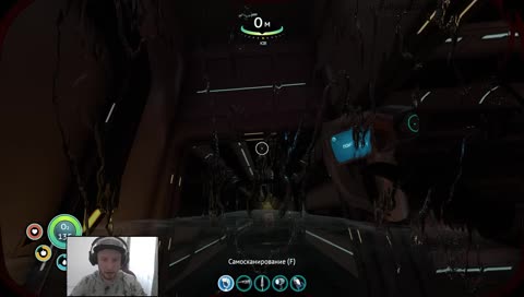 Фантастические твари и где они обитают.