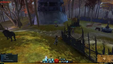 Continuing my first play-through of GW2