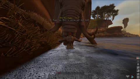 |PC|Kylian Tv Allez c est partit pour une découverte du jeu