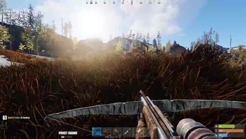 i honestly dobt know what im doing