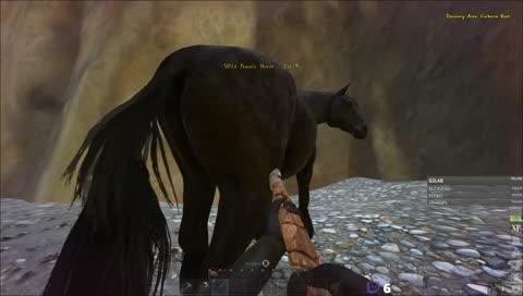 AHÓJ PODBIJAMY WYSPY K12 KTOŚ DOŁACZA DO ZAŁOGI ? ARRRRRRRRRRRRRRRRRRRRRR