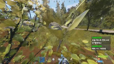 편집 1도 안 하고 러스트 하는 러창인생 또우치