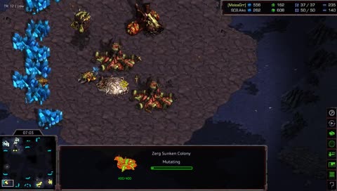 Medium tour Aike vs Meleagrr PvZ игра за 3 место