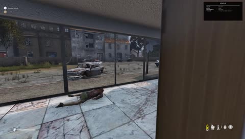 DayZ #1