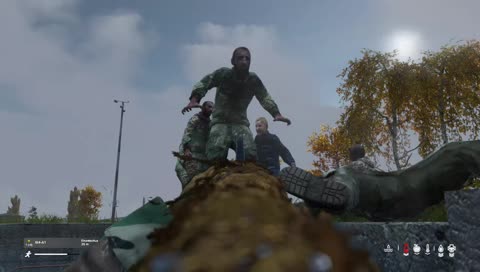 DayZ Ger