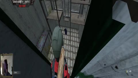 test de Dayz en panoramique