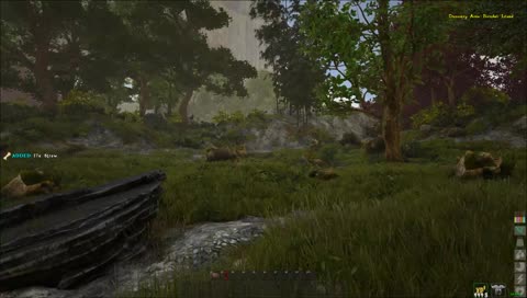 Getting Jebaited All Day