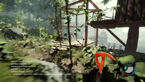 PS4-Livesteam / The Forest / Wieder ein Tag auf der Insel :(
