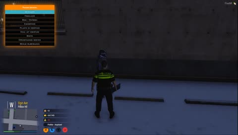 FiveM Police :O