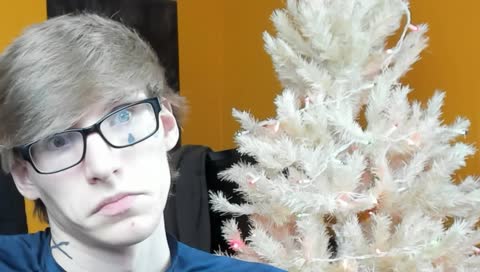 Putting Up A Tree I Guess