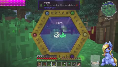 Minecraft singleplayer random stuffs and starting.