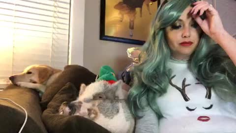 Fairy and pig in holiday finery