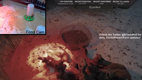 Hot Chick ASMR - Subs can talk to the chicks - Song Requests with !sr - BLACKOPS4 Giveaway @ 400 followers or 15 subs!