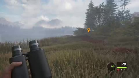 HI