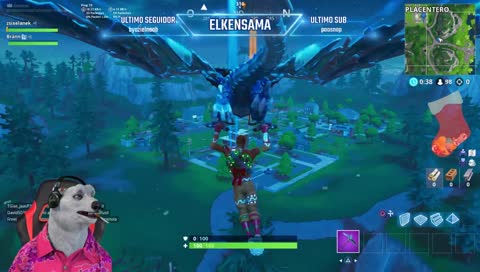 El Oso Jugando Con Followers