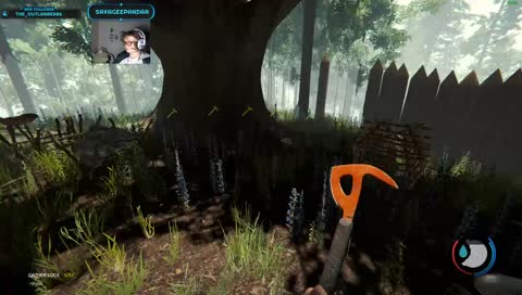 The Forest: Day 1