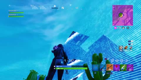 Fortnite Duos W/@TheSoulected