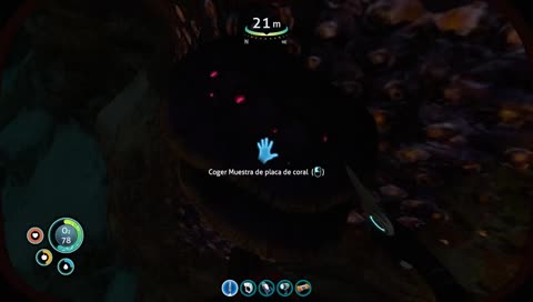 De novatin a cazador de peces experto!!