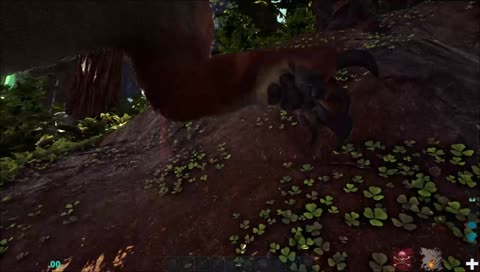 holiday ham | head of community @ gameup.gg | owner of Lorenzo Ent. (CS:GO ESEA-Main)