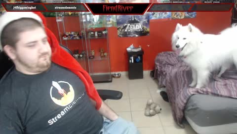 Ghost's 1st Birthday! | !giveaway | [ENG/HEB]