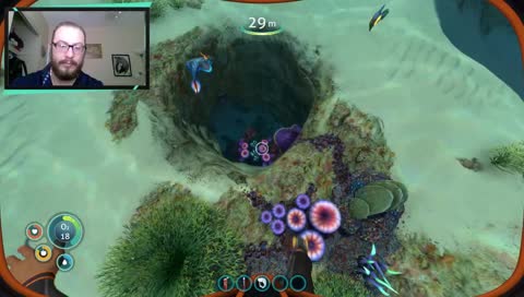 I HATE THE OCEAN