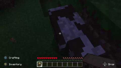 i got minecraft for christmas