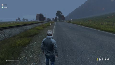 DayZ