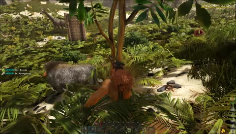 のりこめー  (steamコントローラー配信)