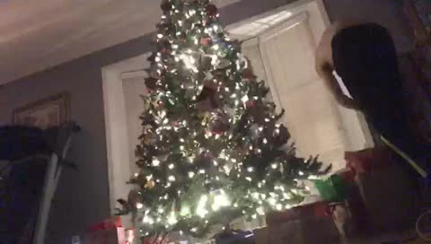 brc0711’s mobile stream