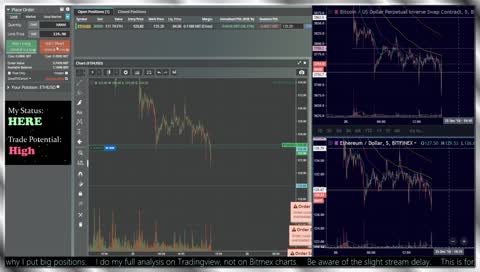 BitMEX Profitable Trading *LIMITED TIME*