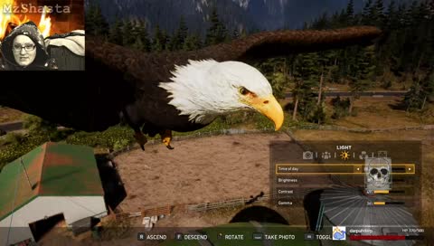 Freedom Eagle!! CAH CAH