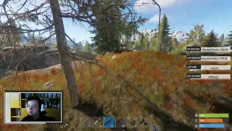 ❌ Gameplay? Fehlanzeige!🦄