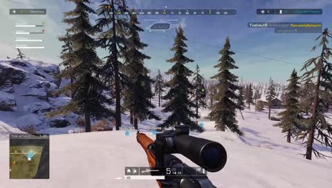 Женщина общается с собакой (поехавшая)