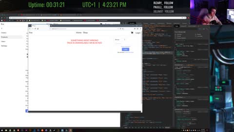 VueJS & Front End - Creating WebShop / Company Site { VueJS, Node, JS }