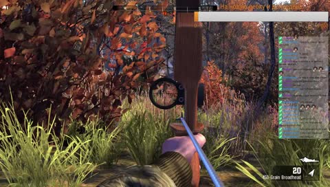 кабан съел стримера